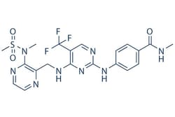 Selleck Chemical LLC Defactinib (VS-6063) 5mg 1073154-85-4 PF-04554878,