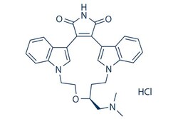 Selleck Chemical LLC Ruboxistaurin (LY333531) HCl 2mg 169939-93-9 Ruboxistaurin