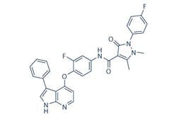 Selleck Chemical LLC NPS-1034 5mg 1221713-92-3, Quantity: Each of 1