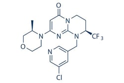 Selleck Chemical LLC SAR405 5mg 1523406-39-4, Quantity: Each of 1
