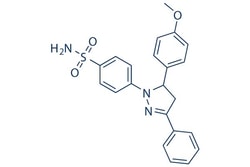 Selleck Chemical LLC ML141 5mg 71203-35-5 CID-2950007, Quantity: Each of