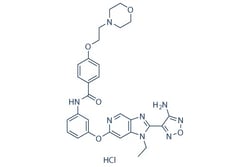 Selleck Chemical LLC GSK269962A HCl 5mg 2095432-71-4 GSK269962B, GSK269962,