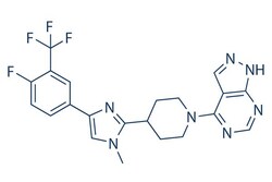Selleck Chemical LLC LY2584702 5mg 1082949-67-4, Quantity: Each of 1