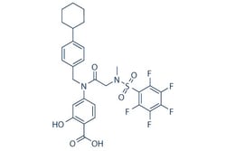 Selleck Chemical LLC BP-1-102 5mg 1334493-07-0, Quantity: Each of 1