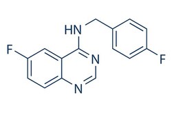 Selleck Chemical LLC Spautin-1 10mg 1262888-28-7, Quantity: Each of 1