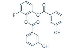 Selleck Chemical LLC WZB117 10mg 1223397-11-2, Quantity: Each of 1