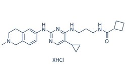 Selleck Chemical LLC MRT68921 HCl 5mg 1190379-70-4(freebase), Quantity: