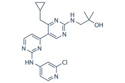 Selleck Chemical LLC VPS34-IN1 5mg 1383716-33-3 Vps34-IN-1, Quantity: Each