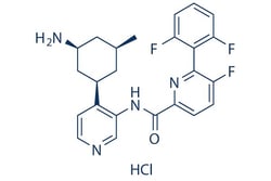 Selleck Chemical LLC PIM447 (LGH447) 2mg 1210608-43-7(freebase), Quantity: