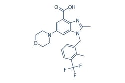 Selleck Chemical LLC GSK2636771 5mg 1372540-25-4, Quantity: Each of 1