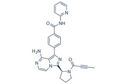 Selleck Chemical LLC Acalabrutinib (ACP-196) 5mg 1420477-60-6, Quantity:
