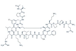 Selleck Chemical LLC YAP-TEAD Inhibitor 1 (Peptide 17) 1mg, Quantity: Each