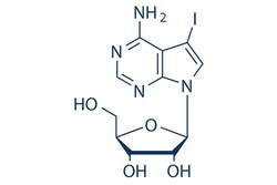 Selleck Chemical LLC 5-Iodotubercidin 5mg 24386-93-4 NSC 113939, 5-ITu,