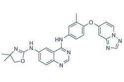 Selleck Chemical LLC Tucatinib (Irbinitinib, ONT-380) 5mg 937263-43-9 ARRY-380,