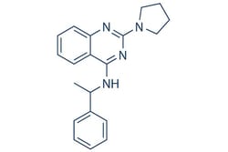 Selleck Chemical LLC Importazole 10mg 662163-81-7, Quantity: Each of 1