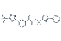 Selleck Chemical LLC TMP195 5mg 1314891-22-9 TFMO 2, Quantity: Each of