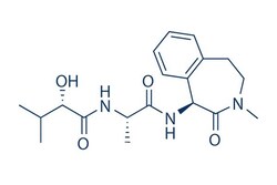 Selleck Chemical LLC Senexin A 25mg 1366002-50-7, Quantity: Each of 1