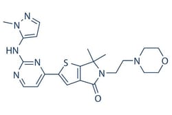 Selleck Chemical LLC LY3214996 2mg 1951483-29-6, Quantity: Each of 1