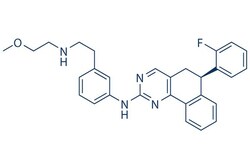 Selleck Chemical LLC Derazantinib(ARQ-087) 2mg 1234356-69-4, Quantity:
