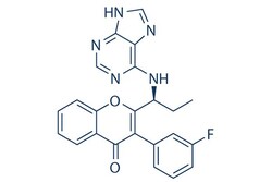 Selleck Chemical LLC Tenalisib (RP6530) 2mg 1639417-53-0, Quantity: Each