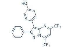 Selleck Chemical LLC PHTPP 10mg 805239-56-9, Quantity: Each of 1