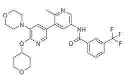 Selleck Chemical LLC RAF709 5mg 1628838-42-5, Quantity: Each of 1