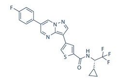 Selleck Chemical LLC ULK-101 2mg, Quantity: Each of 1