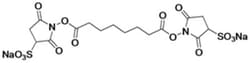 Proteochem Inc BS3 Crosslinker, 82436-77-9, MFCD00054982, 100 mg, Quantity: