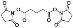 Proteochem Inc DSG Crosslinker, 79642-50-5, MFCD00153597, 100 mg, Quantity: