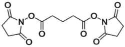 PROTEOCHEM INC DSG CROSSLINKER 1GM