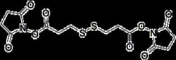 Proteochem Inc DSP Crosslinker, 57757-57-0, MFCD00042045, 100 mg, Quantity: