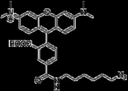 Lumiprobe TAMRA azide, 5-isomer | 825651-66-9 | MFCD18426598 | 25 mg, Quantity: