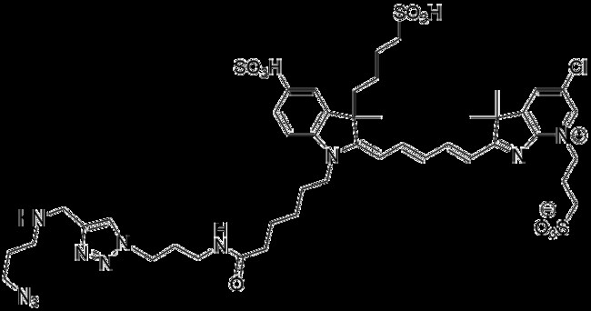 Click Chemistry Tools Azide Plus reagents is the most recent step in ...