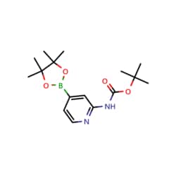 Advanced Chemblocks Inc 2-(tert-Butoxycarbonylamino)pyridine-4-boronic