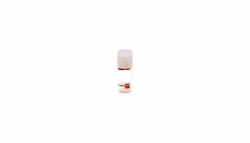 Promocell GmbH PromoCell NHEK-c 500,000 Human Epidermal Keratinocytes,