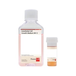 Promocell GmbH PromoCell Endothelial Cell Growth Medium MV 2 500 ml, ready-to-use,