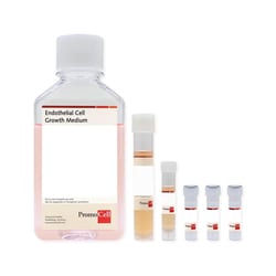 Promocell GmbH PromoCell Endothelial Cell Growth Medium KIT 500 ml, Contains: