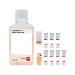 Promocell GmbH PromoCell Endothelial Cell Growth Medium 2 KIT 500 ml, Contains: