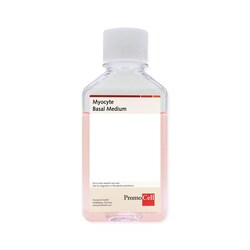 Promocell GmbH&nbsp;PromoCell Myocyte Basal Medium 500 ml
