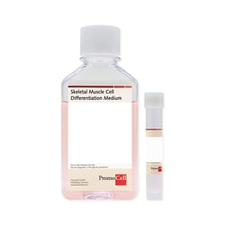 Promocell GmbH PromoCell Skeletal Muscle Cell Differentiation Medium 500 ml, ready-to-use, serum-free, with C-39366 attached to the flask
