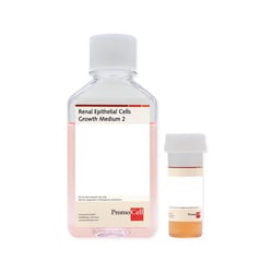 Promocell GmbH&nbsp;PromoCell Renal Epithelial Cell Growth Medium 2 500 ml, ready-to-use, low-serum, with C-39606 attached to the flask