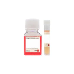 Promocell GmbH PromoCell Mesenchymal Stem Cell Osteogenic Different. Medium