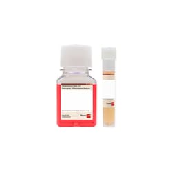 Promocell GmbH PromoCell Mesenchymal Stem Cell Neurogenic Different. Medium
