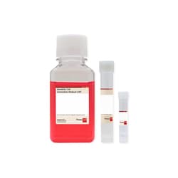 Promocell GmbH PromoCell DC Generation Medium XF 250 ml, ready-to-use, contains: C-28052B, C-39852, C-39893