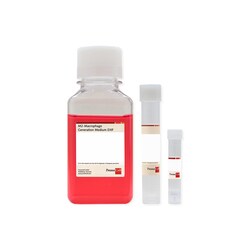 Promocell GmbH PromoCell M2-Macrophage Generation Medium XF 250 ml, contains: