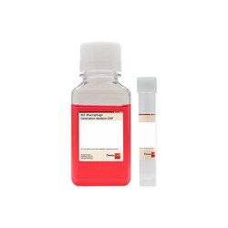 Promocell GmbH PromoCell Macrophage Base Medium XF 250 ml, with C-39857