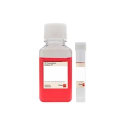 Promocell GmbH PromoCell 3D Tumorsphere Medium XF 250 ml, with C-39870