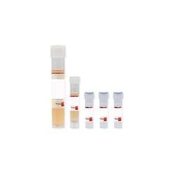 Promocell GmbH PromoCell Supplement Pack / Endothelial Cell Growth Medium