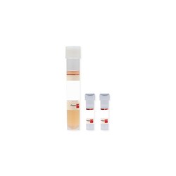 Promocell GmbH PromoCell Supplement Pack / Fibroblast Growth Medium 2 Contains: