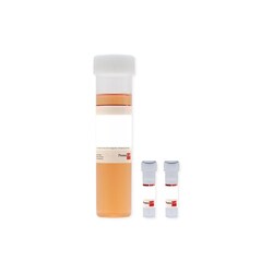 Promocell GmbH PromoCell Supplement Pack / Fibroblast Growth Medium 3 Contains:
